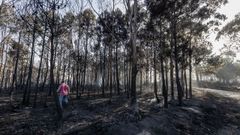 Estado este lunes de una de las áreas de Ponteceso que se vio afectada por las llamas.