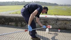 Toma de muestras esta ma�ana en A Malata