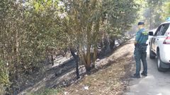 Un guardia civil, en un incendio forestal