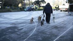 FR�O. HELADA HIELO EN PLAZA EUROPA