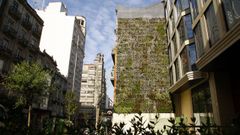 Imagen de archivo de un jard�n vertical