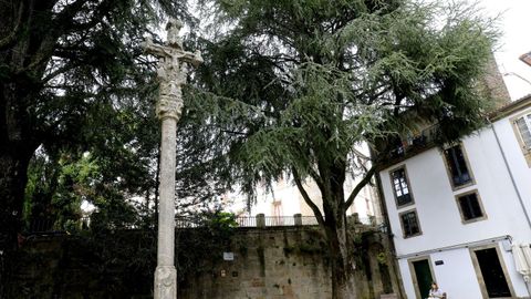 As actividades desenvolveranse na Praza 8 de Marzo