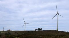 Los temporales incrementaron la actividad en los parques e�licos en enero