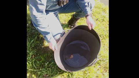 Angulas descubiertas