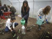 El cuidado del invernadero corre a cargo de los alumnos de primero de la ESO, tres d�as por semana.