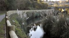 Imagen de archivo del paseo fluvial de A Barcala