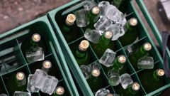Botellas de sidra con hielo durante el acto de conmemoraci�n del D�a Mundial de la Sidra, en la plaza de la Catedral de Oviedo