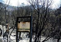 Novecientas de las 4.100 hect�reas que da�� el fuego en La Gomera est�n en el parque nacional de Garajonay.