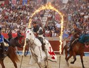 Las colas para hacerse con un asiento en la plaza de toros pontevedresa fueron largas y se prolongaron durante las horas previas a cada una de las exhibiciones en las que cinco jinetes demostraron su destreza a lomos de sus caballos. Punter�a, fuerza y velocidad fueron las primeras pruebas que sirvieron de aperitivo a la deseada justa final de la que el p�blico disfrut� entregado. Divididos en cinco colores, toda la plaza se volc� con el verde que fue capaz de derrotar al odiado caballero negro, en su primer duelo. En la justa final, el rojo derrot� al negro que elimin� al verde atac�ndolo por la espalda  