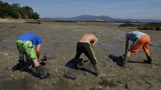 Imagen de archivo de tres furtivos faenando en la r�a de Arousa hace m�s de una d�cada.