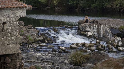 As� bajaba el Tambre en A Ponte Maceira la pasada semana