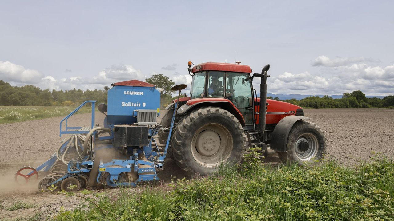 Galicia repartirá 3,6 millones de euros para apoyar a 4.500 agricultores y ganaderos ante el sobrecoste de gasoil y fertilizante