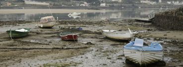 Varias embarcaciones, varadas en el fango de la r�a de O Burgo. 