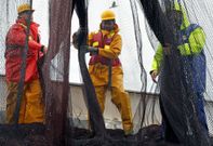 Familias peruanas que viv�an de la pesca en Cambados tuvieron que irse al quedar sin trabajo. 