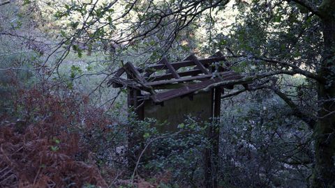 REPORTAJE SOBRE LA SENDA PEATONAL DEL RÍO TAMBRE