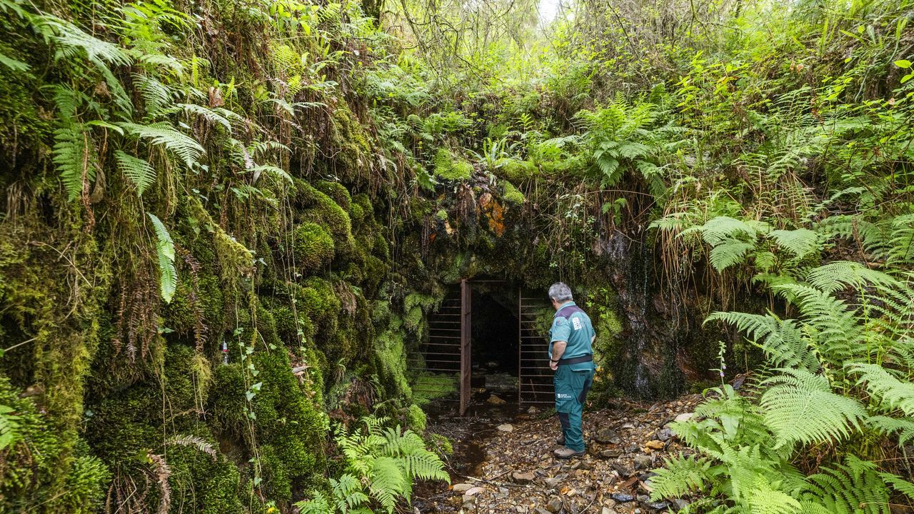 La Xunta abre la puerta a reactivar la explotación de oro en Corcoesto