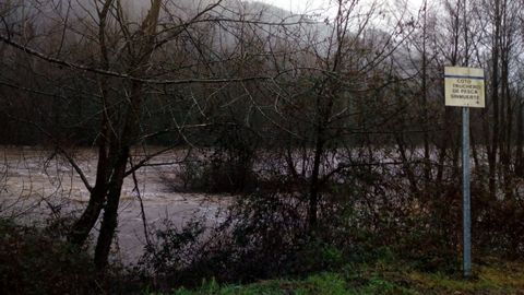 El Narcea a punto de desbordarse en Cornellana