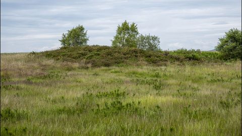 Perfil de una de las numerosas m�moas del monte de Santa Mari�a