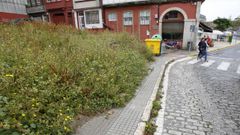 La vegetaci�n de la parcela donde anta�o se alzaban las oficinas de la empresa Planas ha crecido tanto que ya invade la acera