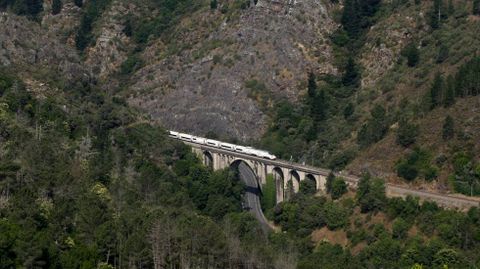 Foto de archivo del tren Alvia Barcelona-Galicia a su paso por el puente de A Ruxidoira, entre Quiroga y Monforte. Este tres es uno de los afectados por la avera de este mircoles