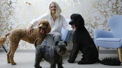 Lo que supone, y cuesta, un perro