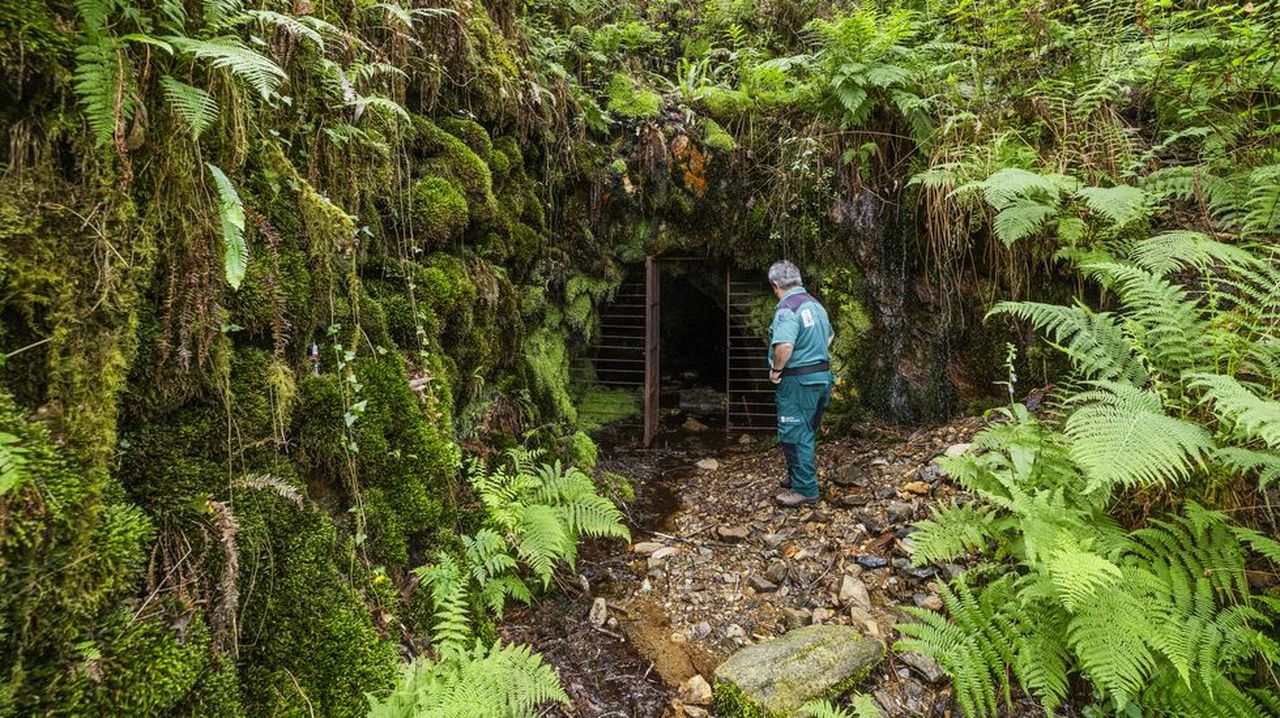 A concurso miles de hectáreas de derechos mineros para explotar o investigar