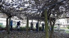 Jornada de puertas abiertas en Santa Clara