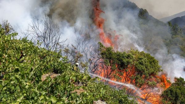 La orden&nbsp;quiere compensar los da&ntilde;os que fen&oacute;menos como los incendios ocasionaron en la renta de las explotaciones