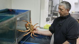 Prez Cribeiro en el vivero de las instalaciones que mont hace aos en Cedeira
