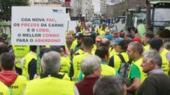 La manifestacin en Lugo de los ganaderos, en imgenes