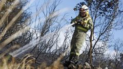 La r&aacute;pida intervenci&oacute;n de los medios de extinci&oacute;n evit&oacute; que el fuego se propagase