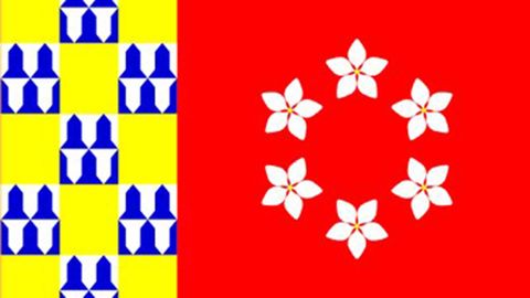 Bandera de Nava