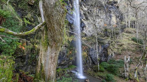 El arroyo de A Fervenza se precipita por una pared de roca caliza de unos treinta metros de altura