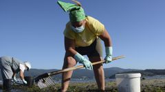 Parte de los 3.481mariscadores de a pie de recursos no especificos, faenando el pasado 20 de julio en el banco de Os Praceres, en Pontevedra