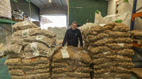 La campa�a de la patata est� siendo muy similar a la del pasado a�o
