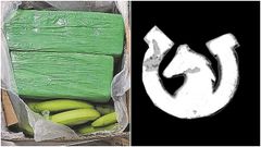 Forro verde y entre bananas: La coca�na confiscada la semana pasada ten�a el mismo envoltorio que otra decomisada en octubre del 2020 en el puerto de Mar�n (en la imagen de la izquierda), y se camuflaba tambi�n entre bananas. La aprehendida en Vigo llevaba, adem�s, marcado en blanco un s�mbolo con una cabeza de caballo y una herradura