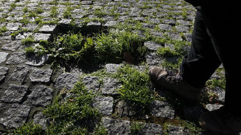 ESTADO DEL PARQUE DE SANTA MARGARITA 