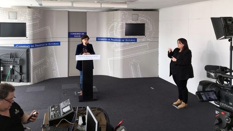 La gerente del Sespa, Concepci�n Saavedra, durante una rueda de prensa online