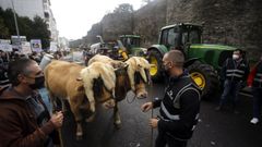 Imagen de archivo de una manifestaci�n convocada por Agromuralla en Lugo