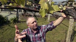 Mar�a Jos� pudo plantar en invernadero, pero no al aire libre. 