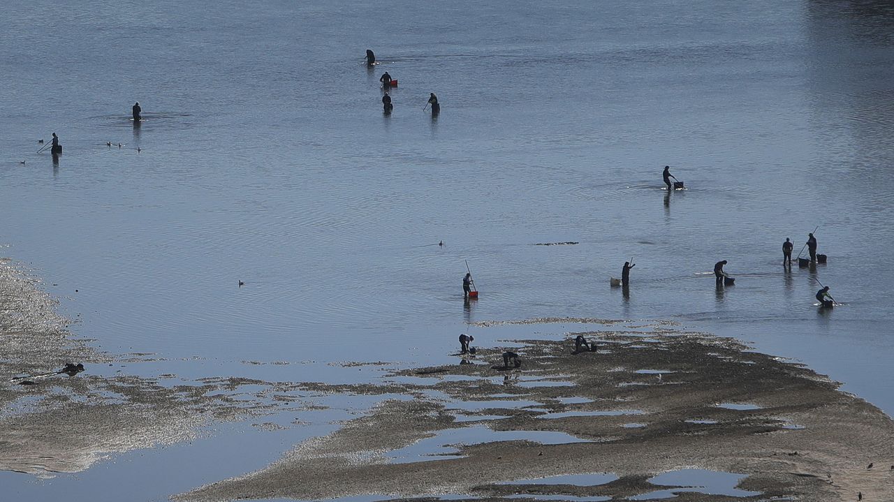 Un detenido y seis personas identificadas por furtivismo en la ría de A Coruña