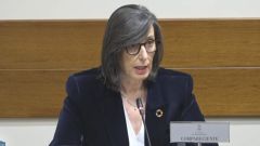 Nieves Roque�� en la comisi�n de investigaci�n de Cerredo