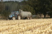 Los ganaderos tienen problemas para encontrar campos que usen sus purines como abono. 