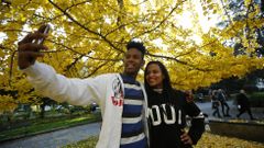 Los coru�eses enamorados del ginkgo biloba de Cuatro Caminos