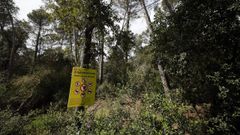 Cartel que advierte de la presencia de la peste�porcina africana