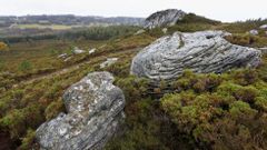 Se subasta yacimiento arqueol�gico por 7.700 euros