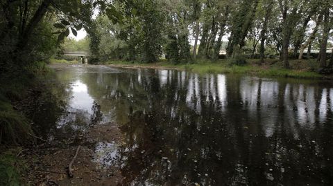 El tramo del r�o Cabe que pasa por Ribas Altas est� considerado este a�o no apto para el ba�o por la Conseller�a de Sanidade