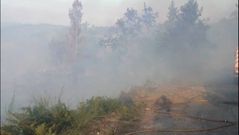El primer fuego del verano en Pontevedra
