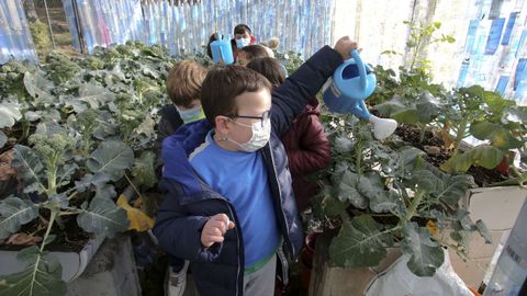 Invernadero de A Laxe