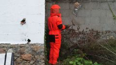 Personal del GAEM retiraron un nido de velutina